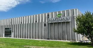 Plant Therapy 2025: Mengapa Merawat Tanaman Jadi Terapi Mental Terpopuler