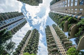 Tren ‘Urban Jungle’ 2026: Mengapa Tanaman Bioluminesen Jadi Primadona Baru di Apartemen Jakarta?
