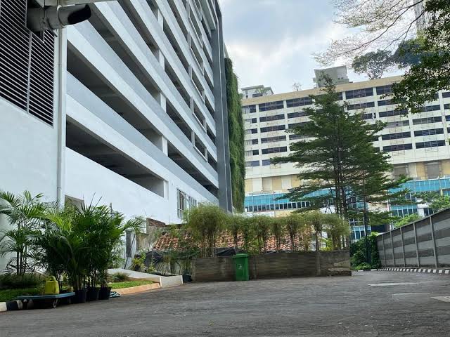 Rumah lo Adalah Bioreaktor: Tren 'Urban Jungle' 2026 yang Bikin Apartemen Jakarta Hidup